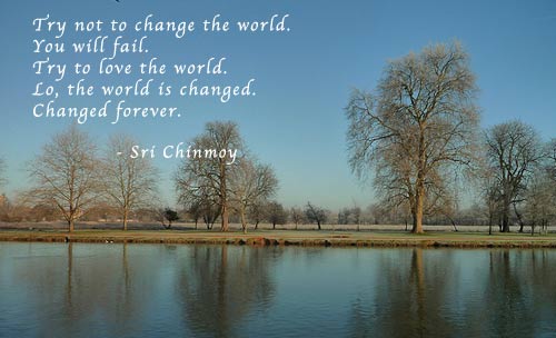 try-not-to-change-the-world